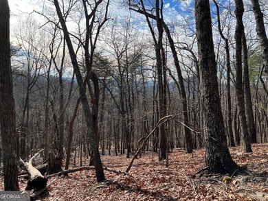 Price Improvement for 2026! This 1.21 acre lot is located on a on Bent Tree Golf Course in Georgia - for sale on GolfHomes.com, golf home, golf lot