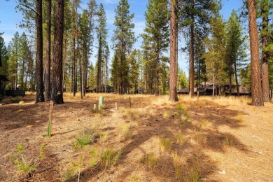 Situated in the stunning resort community of Caldera Springs on Sunriver Caldera Springs Golf Course in Oregon - for sale on GolfHomes.com, golf home, golf lot