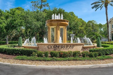 LOOK NO FURTHER, THIS IS THE ONE YOU HAVE BEEN WAITING FOR! A on Evergreen Club in Florida - for sale on GolfHomes.com, golf home, golf lot