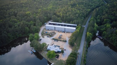 Find Your Perfect Lake Life at The Enclave at Heron Ridge - on Harbor Club Golf and Country Club in Georgia - for sale on GolfHomes.com, golf home, golf lot