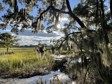 Wake up to picturesque marsh views, Beaufort River providing a on The Golf Club at Pleasant Point Plantation in South Carolina - for sale on GolfHomes.com, golf home, golf lot