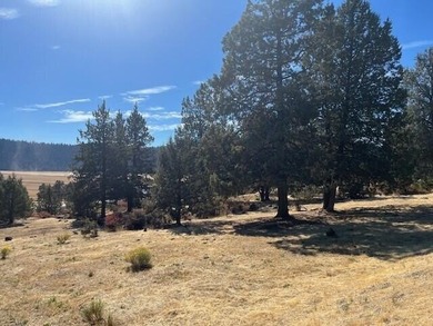 Build your dream home on this expansive one-acre lot at the on Running Y Ranch Resort in Oregon - for sale on GolfHomes.com, golf home, golf lot