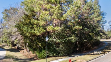 Welcome to 30370 Middle Creek Circle, a beautiful half-acre on TimberCreek Golf Club in Alabama - for sale on GolfHomes.com, golf home, golf lot