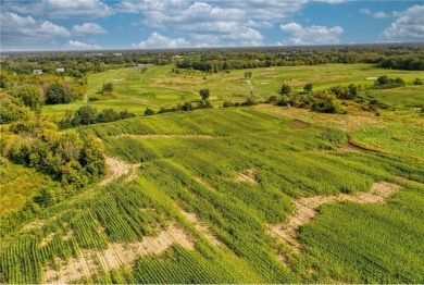 This is an incredibly rare opportunity to acquire a first-time on Tanners Brook Golf Club in Minnesota - for sale on GolfHomes.com, golf home, golf lot