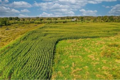 This is an incredibly rare opportunity to acquire a first-time on Tanners Brook Golf Club in Minnesota - for sale on GolfHomes.com, golf home, golf lot