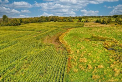 This is an incredibly rare opportunity to acquire a first-time on Tanners Brook Golf Club in Minnesota - for sale on GolfHomes.com, golf home, golf lot