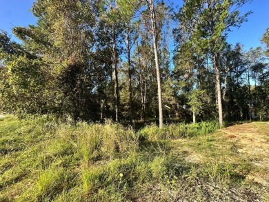 This lovely wooded homesite, just under 1/3 acre, is located in on Southern Hills Plantation Club in Florida - for sale on GolfHomes.com, golf home, golf lot