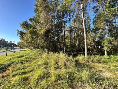 This lovely wooded homesite, just under 1/3 acre, is located in on Southern Hills Plantation Club in Florida - for sale on GolfHomes.com, golf home, golf lot
