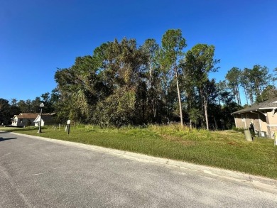 This lovely wooded homesite, just under 1/3 acre, is located in on Southern Hills Plantation Club in Florida - for sale on GolfHomes.com, golf home, golf lot
