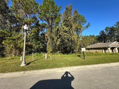 This lovely wooded homesite, just under 1/3 acre, is located in on Southern Hills Plantation Club in Florida - for sale on GolfHomes.com, golf home, golf lot