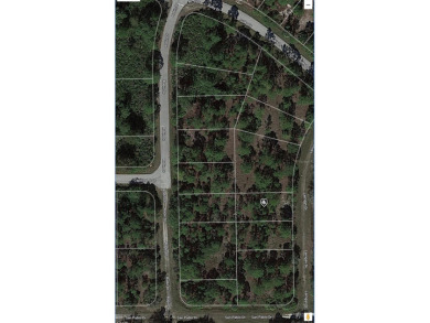 Easy access to US 41 and I-75. Quiet country-like setting but on Seminole Lakes Country Club in Florida - for sale on GolfHomes.com, golf home, golf lot