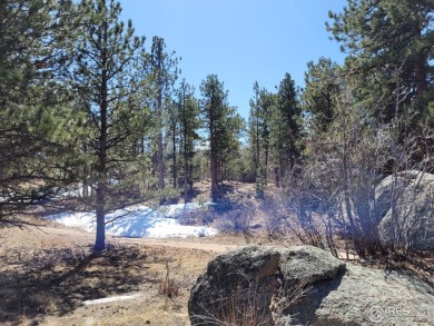 Magnificent Building Site in the Desirable, Unique Fox Acres on Fox Acres Country Club in Colorado - for sale on GolfHomes.com, golf home, golf lot