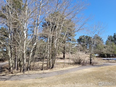 Magnificent Building Site in the Desirable, Unique Fox Acres on Fox Acres Country Club in Colorado - for sale on GolfHomes.com, golf home, golf lot