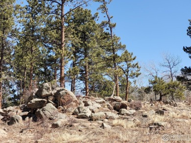 Magnificent Building Site in the Desirable, Unique Fox Acres on Fox Acres Country Club in Colorado - for sale on GolfHomes.com, golf home, golf lot