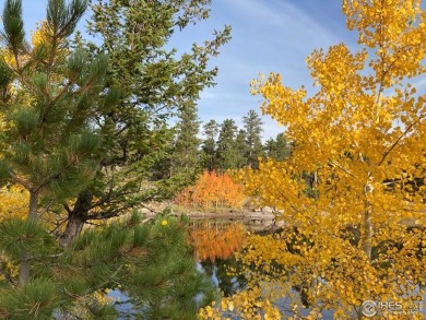 Magnificent Building Site in the Desirable, Unique Fox Acres on Fox Acres Country Club in Colorado - for sale on GolfHomes.com, golf home, golf lot