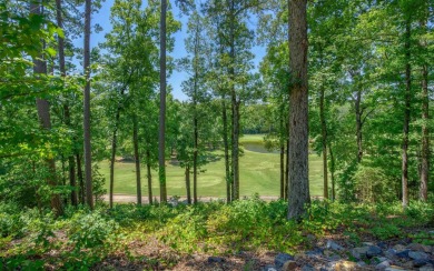 ENJOY CAREFREE LIVING with this charming one level, Magellan on Magellan Golf Course in Arkansas - for sale on GolfHomes.com, golf home, golf lot