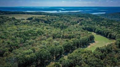 Welcome to your dream golf course home, nestled on Indian Hills on Indian Hills Country Club in Arkansas - for sale on GolfHomes.com, golf home, golf lot