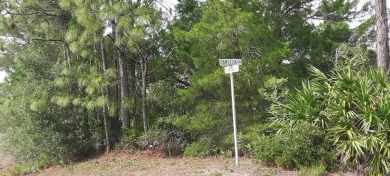 Come build your forever home on this one-half acre lot that on Indian Lake Estates Golf and Country Club in Florida - for sale on GolfHomes.com, golf home, golf lot