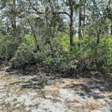 Come build your forever home on this one-half acre lot that on Indian Lake Estates Golf and Country Club in Florida - for sale on GolfHomes.com, golf home, golf lot
