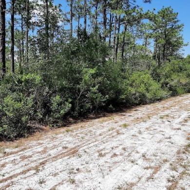Come build your forever home on this one-half acre lot that on Indian Lake Estates Golf and Country Club in Florida - for sale on GolfHomes.com, golf home, golf lot