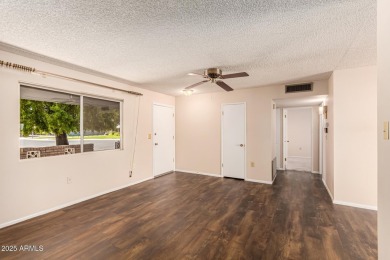 A beautiful 2 bed, 2 bath residence in Sun City is now for sale! on Sun City Lakes West and East in Arizona - for sale on GolfHomes.com, golf home, golf lot