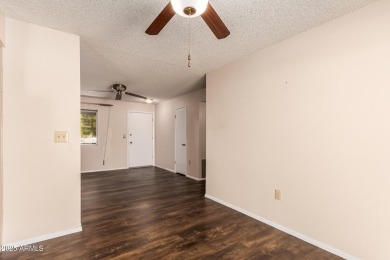 A beautiful 2 bed, 2 bath residence in Sun City is now for sale! on Sun City Lakes West and East in Arizona - for sale on GolfHomes.com, golf home, golf lot