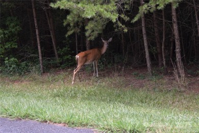 This premium Badin Lake water view lot is located in the on Old North State Club at Uwharrie Point Golf community in North Carolina - for sale on GolfHomes.com, golf home, golf lot