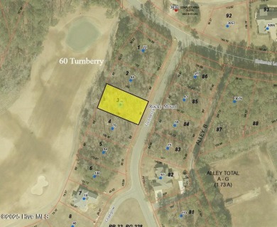 Only EIGHT lots remain in Section 2! This .29-acre GOLF COURSE on The Golf Club At Rocky Mount in North Carolina - for sale on GolfHomes.com, golf home, golf lot