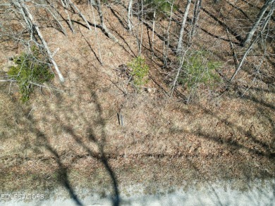 Discover a beautiful level lot with a slight slop wooded lot on on Lake Tansi Village Country Club in Tennessee - for sale on GolfHomes.com, golf home, golf lot
