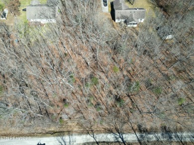 Discover a beautiful level lot with a slight slop wooded lot on on Lake Tansi Village Country Club in Tennessee - for sale on GolfHomes.com, golf home, golf lot