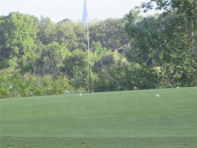 AFFORDBLE GROUND FLOOR 2/2 CONDOMINIUM JUST 500 FEET AWAY FROM on Country Club At Silver Springs Shores in Florida - for sale on GolfHomes.com, golf home, golf lot