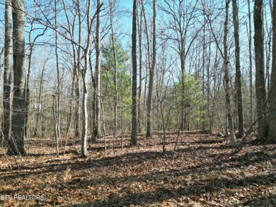 Discover a beautiful wooded lot that has a slight slope to level on Lake Tansi Village Country Club in Tennessee - for sale on GolfHomes.com, golf home, golf lot