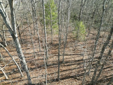 Discover a beautiful wooded lot that has a slight slope to level on Lake Tansi Village Country Club in Tennessee - for sale on GolfHomes.com, golf home, golf lot