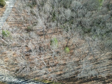 Discover a beautiful wooded lot that has a slight slope to level on Lake Tansi Village Country Club in Tennessee - for sale on GolfHomes.com, golf home, golf lot