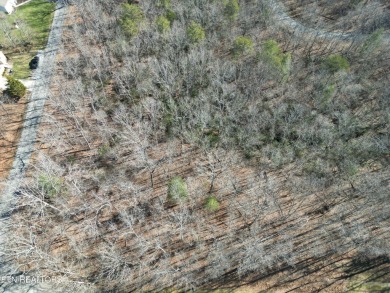 Discover a beautiful wooded lot that has a slight slope to level on Lake Tansi Village Country Club in Tennessee - for sale on GolfHomes.com, golf home, golf lot