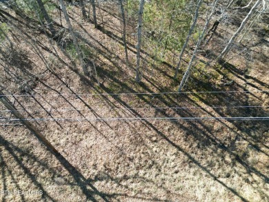 Discover a beautiful level wooded lot on a paved road in Lake on Lake Tansi Village Country Club in Tennessee - for sale on GolfHomes.com, golf home, golf lot