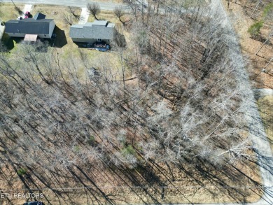 Discover a beautiful level wooded lot on a paved road in Lake on Lake Tansi Village Country Club in Tennessee - for sale on GolfHomes.com, golf home, golf lot