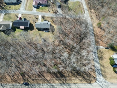 Discover a beautiful level wooded lot on a paved road in Lake on Lake Tansi Village Country Club in Tennessee - for sale on GolfHomes.com, golf home, golf lot