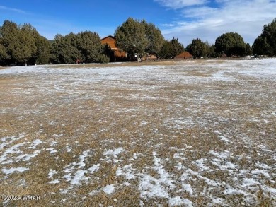 ON THE FAIRWAY!! Come take a look at this 1bd/1ba park model in on Juniper Ridge R.V. Golf Resort in Arizona - for sale on GolfHomes.com, golf home, golf lot