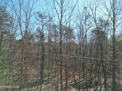 Discover a beautiful slopped  wooded lot; perfect for a walk out on Lake Tansi Village Country Club in Tennessee - for sale on GolfHomes.com, golf home, golf lot