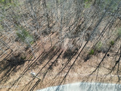 Discover a beautiful slopped  wooded lot; perfect for a walk out on Lake Tansi Village Country Club in Tennessee - for sale on GolfHomes.com, golf home, golf lot