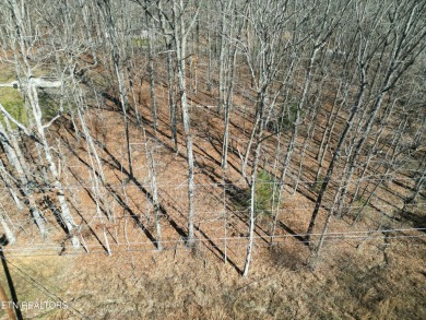 Discover a beautiful gently slopped  wooded lot on a tarred and on Lake Tansi Village Country Club in Tennessee - for sale on GolfHomes.com, golf home, golf lot