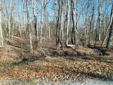 Discover a beautiful wooded level lot on a paved road in Lake on Lake Tansi Village Country Club in Tennessee - for sale on GolfHomes.com, golf home, golf lot