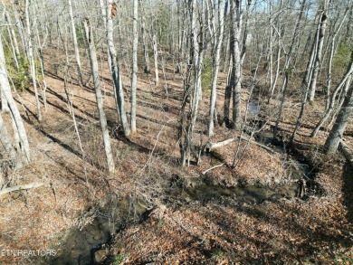 Discover a beautiful wooded level lot on a paved road in Lake on Lake Tansi Village Country Club in Tennessee - for sale on GolfHomes.com, golf home, golf lot