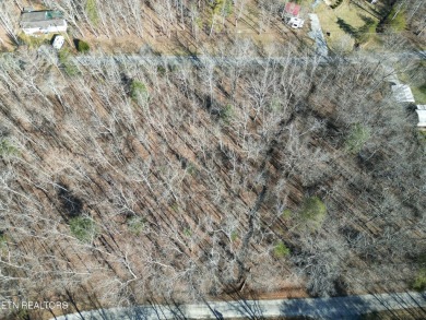 Discover a beautiful wooded level lot on a paved road in Lake on Lake Tansi Village Country Club in Tennessee - for sale on GolfHomes.com, golf home, golf lot