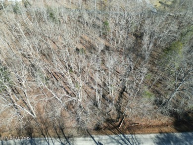 Discover a beautiful wooded level lot on a paved road in Lake on Lake Tansi Village Country Club in Tennessee - for sale on GolfHomes.com, golf home, golf lot