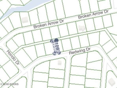 Discover a beautiful wooded level lot on a paved road in Lake on Lake Tansi Village Country Club in Tennessee - for sale on GolfHomes.com, golf home, golf lot