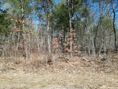 Discover a beautiful wooded level lot on a paved road in Lake on Lake Tansi Village Country Club in Tennessee - for sale on GolfHomes.com, golf home, golf lot