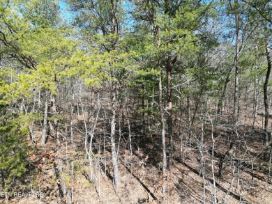 Discover a beautiful wooded level lot on a paved road in Lake on Lake Tansi Village Country Club in Tennessee - for sale on GolfHomes.com, golf home, golf lot