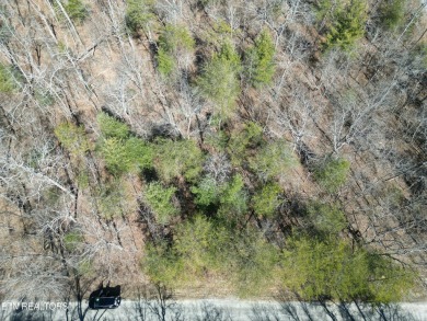 Discover a beautiful wooded level lot on a paved road in Lake on Lake Tansi Village Country Club in Tennessee - for sale on GolfHomes.com, golf home, golf lot